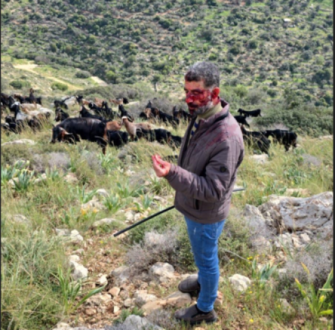 مستعمرون يعتدون بالضرب على راعٍ غرب سلفيت.PNG