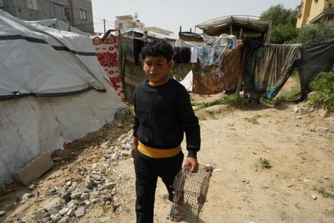 طفل فلسطيني يحمل قفصًا، محاولًا اصطياد الطيور لتربيتها لاحقًا كغذاء داخل خيمته، في مخيم البريج للاجئين وسط قطاع غزة، 4 أبريل/نيسان 2026، (رمزي أبو عامر)