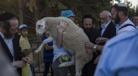 قربان الفصح.jpg