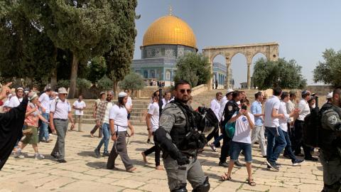 120 مستعمرا يقتحمون المسجد الأقصى بحماية قوات الاحتلال.jpg