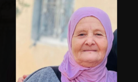 صورة متداولة للشهيدة صبرية شماسنة- وسائل التواصل الاجتماعي.png