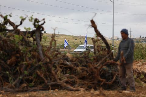 يتفقد مزارع فلسطيني أرضه الزراعية بعد أن بدأت القوات الإسرائيلية بالاستيلاء على الأراضي الزراعية واقتلاع آلاف كروم العنب في منطقة البقاع، جنوب الخليل في الضفة الغربية المحتلة، في 6 مايو/أيار 2026. (صورة: مأمون وزواز)