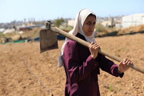 في مخيم البريج وسط قطاع غزة، تعمل الفلسطينية سلامة القريناوي، البالغة من العمر 25 عاماً، في أرض زراعية بتاريخ 7 مايو/أيار 2026، بعدما أجبرتها الحرب على ترك دراستها والبحث عن مصدر رزق لإعالة أسرتها.الصورة: حسن الجديدي