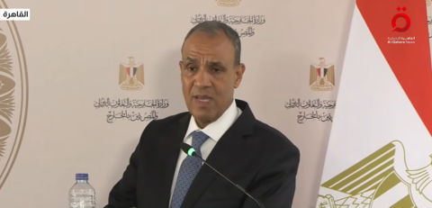 وزير الخارجية المصري د.بدر عبدالعاطي