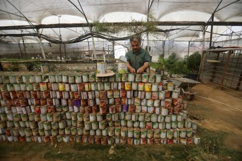 عامل فلسطيني يعتني بالشتلات داخل مشتل بلدية غزة، حيث تحولت علب المساعدات الغذائية الفارغة إلى أوعية للزراعة في محاولة لإحياء الغطاء النباتي المتضرر من الحرب، غزة، 8 أغسطس/آب 2026. (تصوير: بلال أسامة)