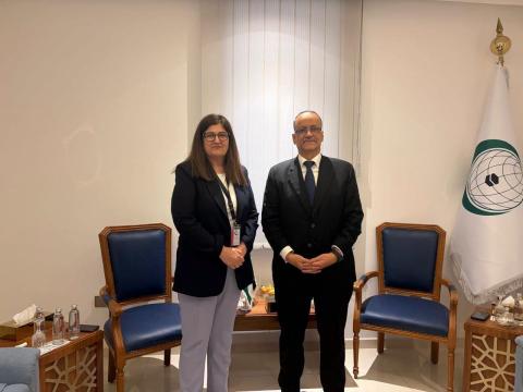د. شاهين وزيرة الخارجية والمغتربين تلتقي الأمين العام الجديد لمنظمة التعاون الإسلامي في جدة.jpg