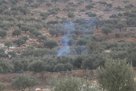 جنود إسرائيليون يلاحقون مزارعين فلسطينيين بين أشجار الزيتون خلال موسم القطاف في قرية سالم، شرق نابلس بالضفة الغربية، في 18 أكتوبر/تشرين الأول 2026.تصوير: محمد ناصر