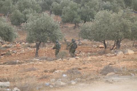 جنود إسرائيليون يلاحقون مزارعين فلسطينيين بين أشجار الزيتون خلال موسم القطاف في قرية سالم، شرق نابلس بالضفة الغربية، في 18 أكتوبر/تشرين الأول 2026.تصوير: محمد ناصر