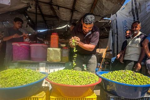 يعرض الفلسطينيون الزيتون في عدد محدود من الأكشاك المتفرقة غرب خان يونس، جنوب قطاع غزة، في 3 أكتوبر/تشرين الأول 2026. (صورة: طارق محمد)