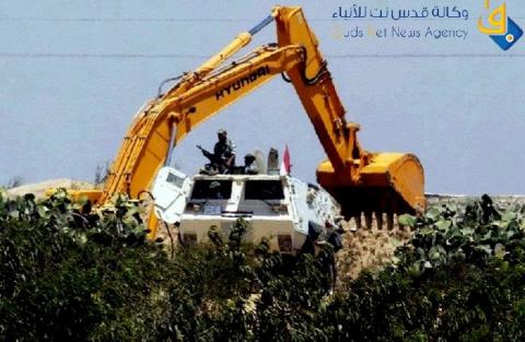 أريحا: الاحتلال يقتلع 120 شجرة نخيل