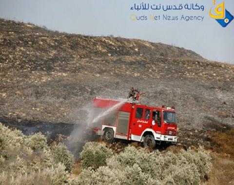 حريق هائل يلتهم 300 شجرة زيتون جنوب نابلس