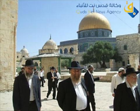 40 مستوطناً يقتحمون باحات المسجد الأقصى
