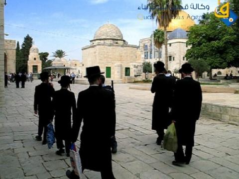 عشرات المستوطنين يقتحمون باحات الأقصى بحراسة شرطة الاحتلال