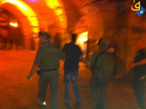 اعتقال فلسطيين اثناء قيامه بقطف الزيتون جنوب جنين