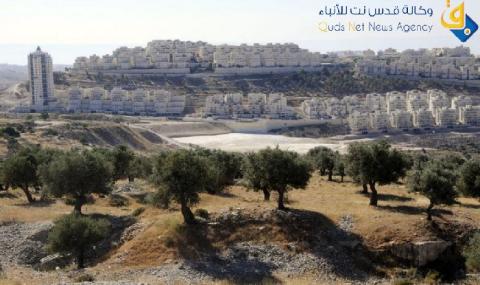 بلدية الاحتلال تقر بناء 58 وحدة استيطانية شرقي القدس