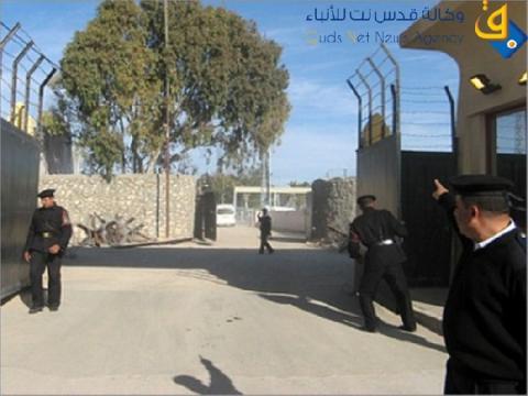السلطات المصرية تفرج عن ثلاث فلسطينيين