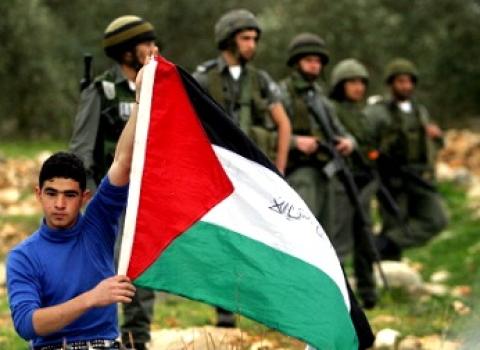 ناشطون يرفعون أعلام فلسطين في منطقة البحر الميت