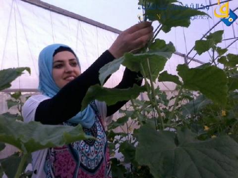 "المزرعة السعيدة " .. مشروع نجاح عنوانه الإرادة