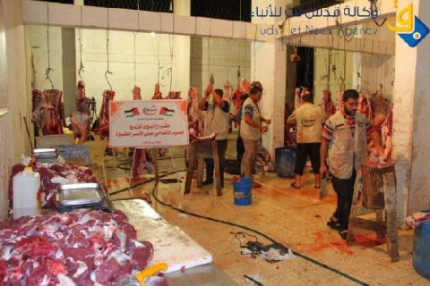 بتمويل من مؤسسات دولية"روّاد" تنفذ مشروع الأضاحي لهذا العام
