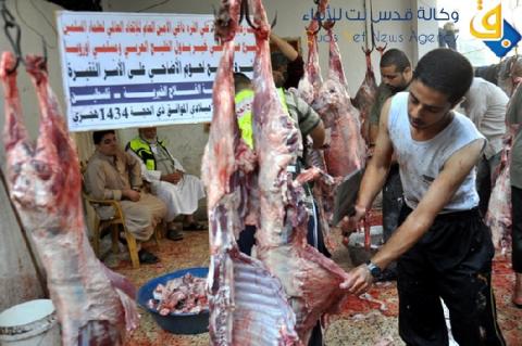 صور.. أهل الخليج العربي ومسلمو أوروبا يوزعون لحوم الأضاحي على فقراء غزة