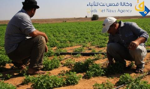 سكان حدود خان يونس.. قلق وترقب بعد اكتشاف النفق