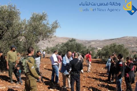 الاغاثة الزراعية تشارك عشرات المتطوعين المحليين والاجانب بمساعدة مزارعي بلدة قريوت المنكوبة في قطف زيتونهم