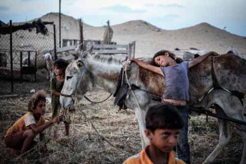 مصور فلسطيني يحصد جائزة أفضل صورة فوتوغرافية إنسانية بمعرض في واشنطن