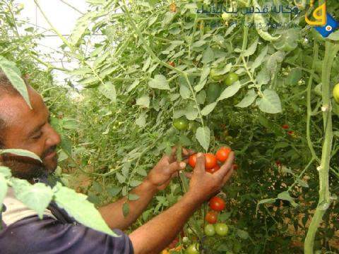 20 مزارعا من غزة يلتقون إسرائيليين في مستوطنة قرب القطاع