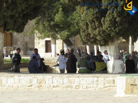 مستوطنون يقتحمون الأقصى وطلاب العلم والحراس يتصدون