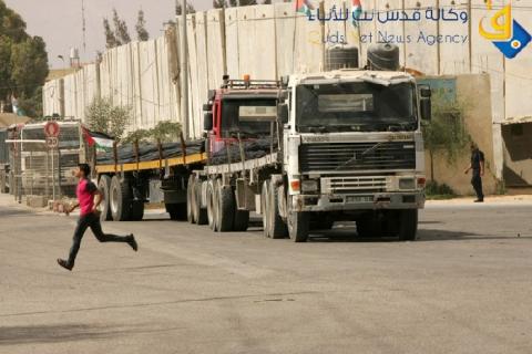 معبر كرم أبو سالم: تصدير توابل خضراء إلى أوروبا وإدخال 220 شاحنة إلى غزة