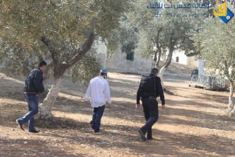 فيديو.. تدنيس نحو 67 مستوطنا المسجد الاقصى المبارك