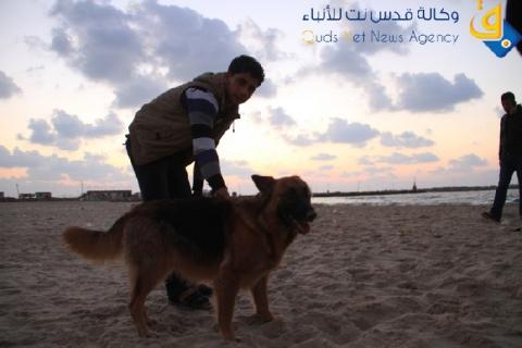 فيديو.. الكلب "استاذ" في حياة (حسن )