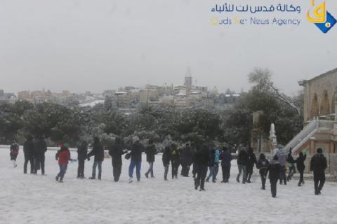 الطقس: شديد البرودة  مع استمرار تساقط الثلوج