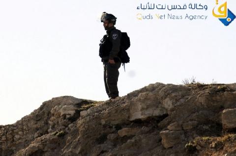 اعتقال شاب ونبش قبر في الخليل