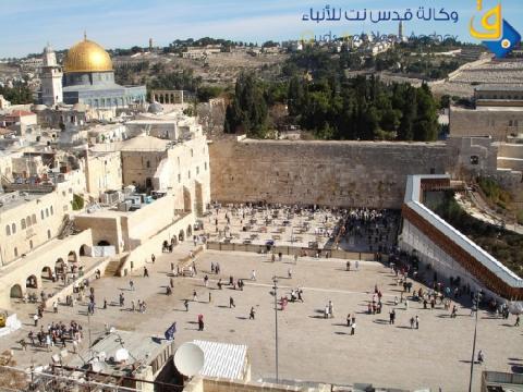 الاحتلال يعتزم إدخال كتاب "التوراة" إلى حائط البراق