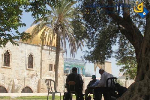 المالكي و مدني يتفقان على ضرورة الخروج من دائرة الإدانة والإستنكار إلى دائرة الفعل
