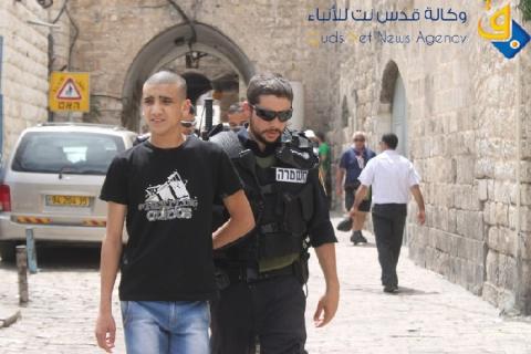 مستوطنون يواصلوا إقتحام الأقصى والاحتلال يعتقل 7 شبان