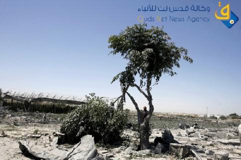 "الزراعة": أضرار القطاع الزراعي المباشرة تجاوزت 24 مليون دولار