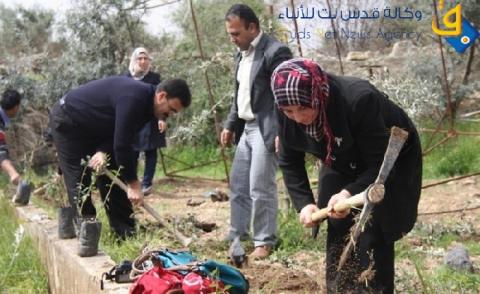 المركز العربي للتطوير الزراعي يطلق حملة لرفع حصة الزراعة في الموازنة العامة