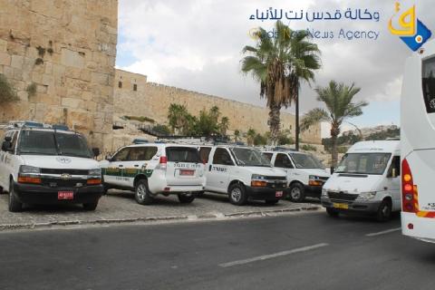 "يديعوت": شبان فلسطينيون يحرقون ألف دونم من غابات القدس