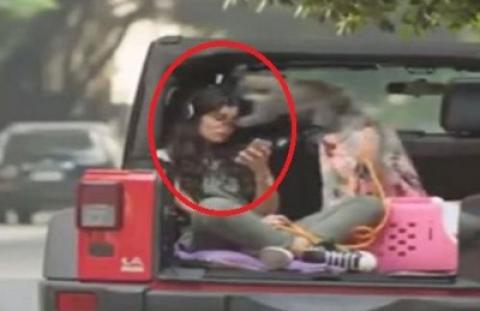 فيديو.. قرد يهاجم غادة عادل خلال تصوير فيلم "أهواك"
