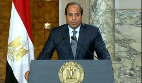 دعوة مصرية لاستئناف الجهود لتسوية القضية الفلسطينية