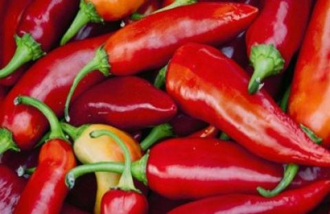 حبس زوجين مصريين قتلا رضيعتهما بإطعامها شطة