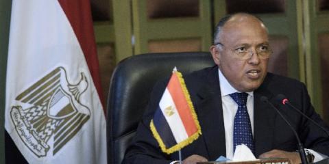 شكري: حل شامل للقضية الفلسطينية على أساس “الدولتين“