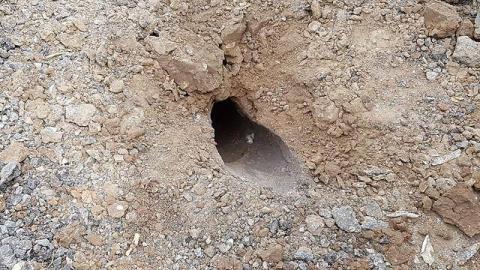 الاحتلال يعثر على صاروخ في النقب