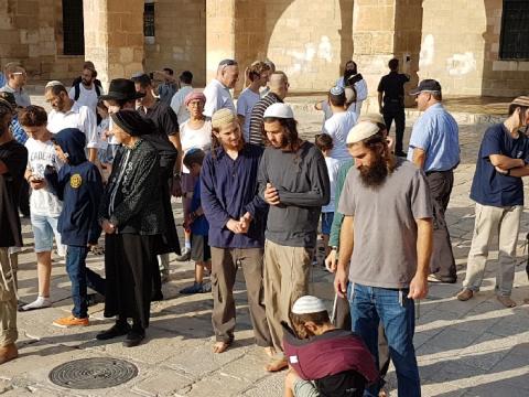 الأوقاف: الاحتلال يسمح للمتطرفين بأداء طقوس تلمودية في الأقصى