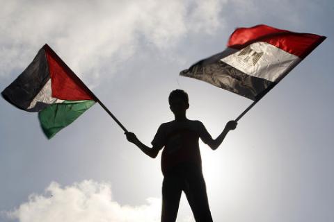 تجريد مصريين من الجنسية بعد تجنسهما بالجنسية الإسرائيلية