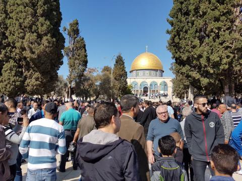 الاحتلال يعتقل مصلياً تركياً من الأقصى