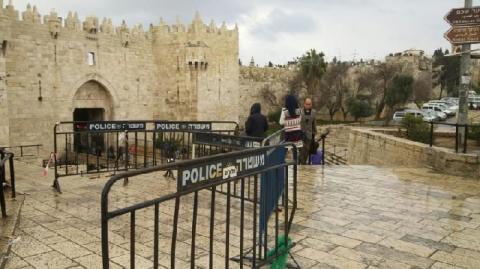 الاحتلال يستولي على حصان من “باب الساهرة“ وسط القدس