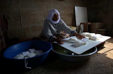 صور.. مسنة فلسطينية تصنع قوالب من الأجبان البيضاء داخل منزلها في قرية الكفيرت جنوب غربي جنين